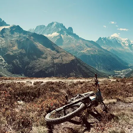 Alpen Lounge Шале Серво